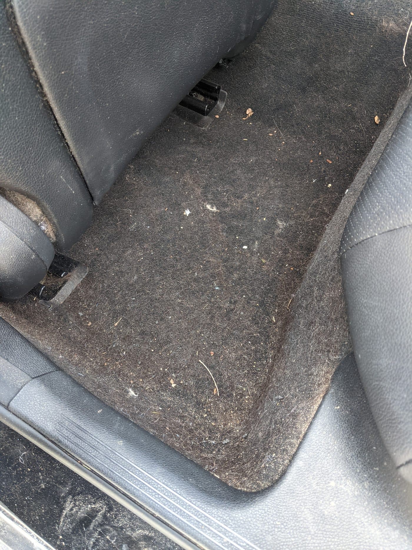 Rear footwell carpet matted with pet hair